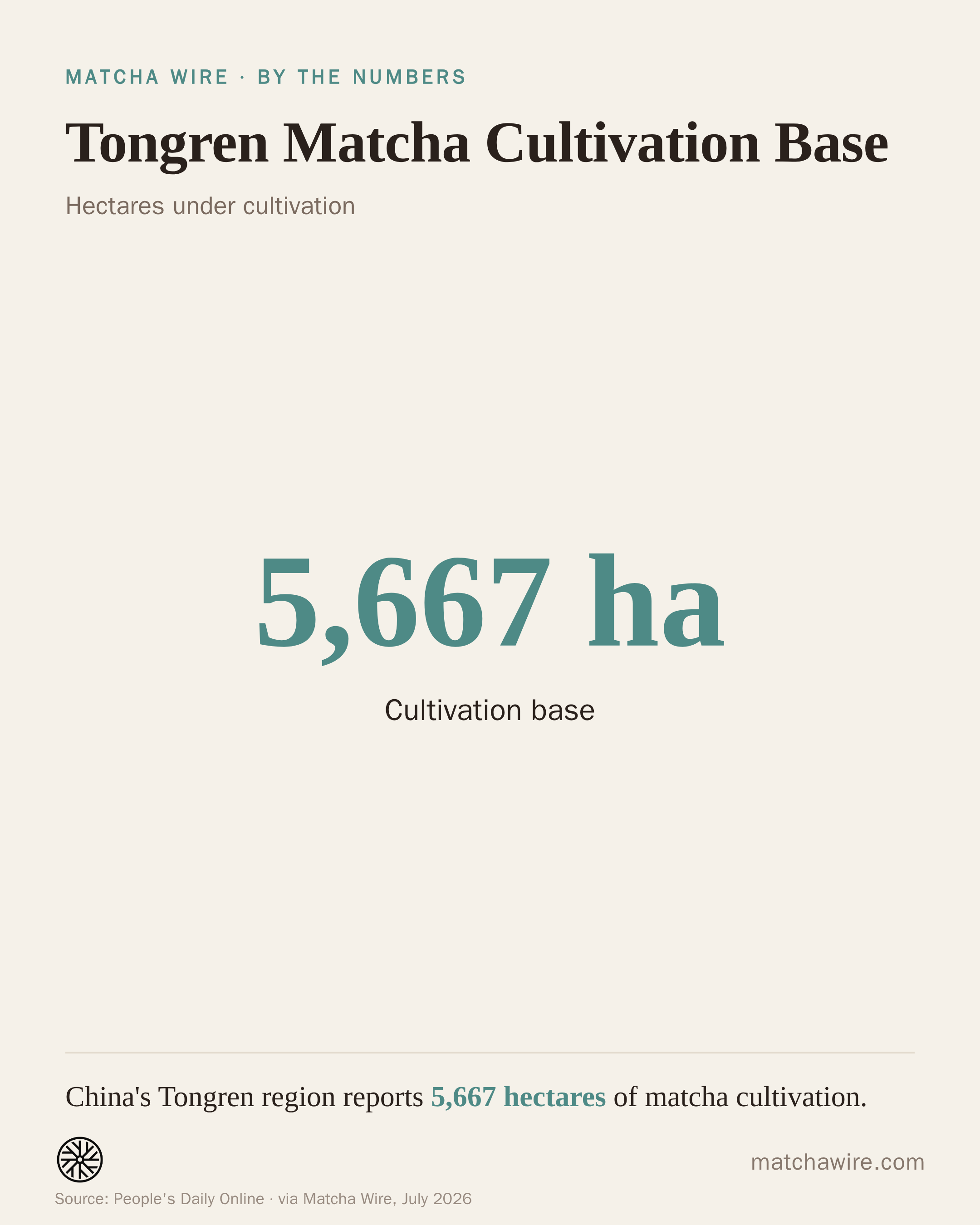Tongren Matcha Cultivation Base — Cultivation base: 5,667 ha. Reported by People's Daily Online.