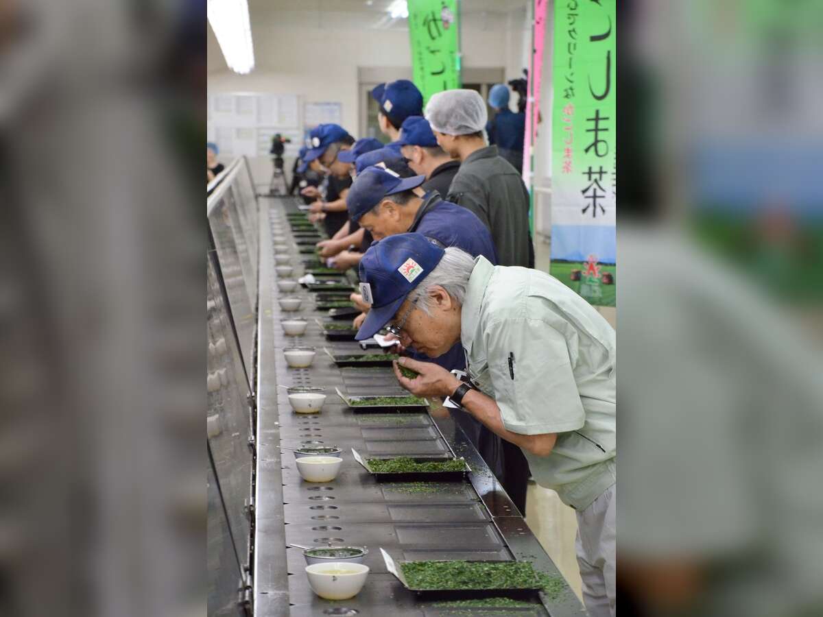 Tencha (matcha raw material) second flush also performs strongly — ¥15,911/kg maximum, 1.6× year-on-year; overseas popularity tailwind; simultaneous trading session held at Kagoshima Tea Market