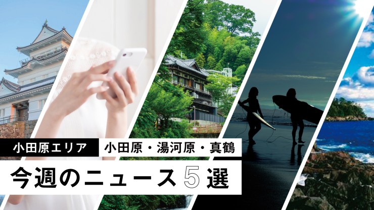 Weekly News Roundup for Odawara, Yugawara, and Manazuru Area (July 18–24): Electronic Coupons for Odawara Tourism, Tea Competition Results, and Wildlife Management