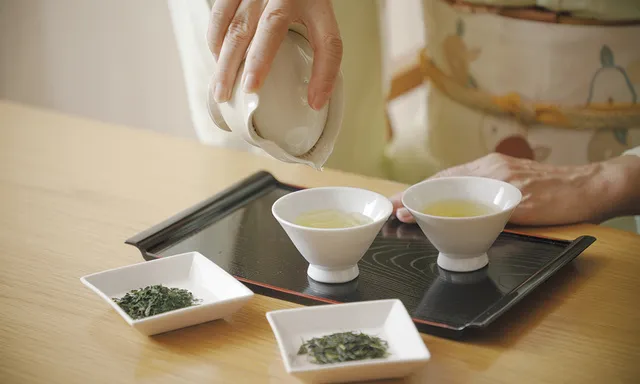 Tasting New Tea in Minamiyamashiro Village, the 'Kyoto of Tea' | Let's Enjoy Tokyo