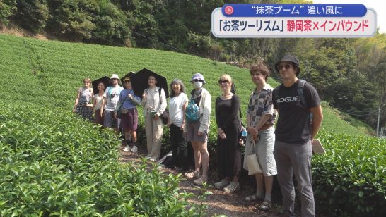 Shizuoka Pursues Tea Tourism to Attract Inbound Visitors Amid Global Matcha Boom