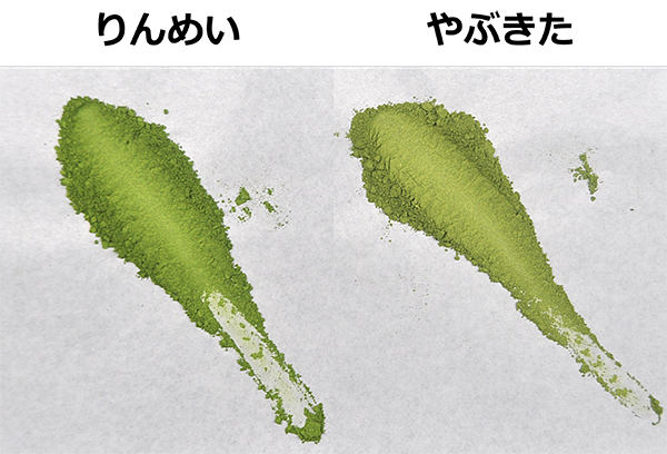 (Research Result) "Rinmei," a Mid-Season Tea Cultivar Combining Disease Resistance, High Yield, and High Quality — Contributing to the Expansion of Exports and Organic Cultivation —