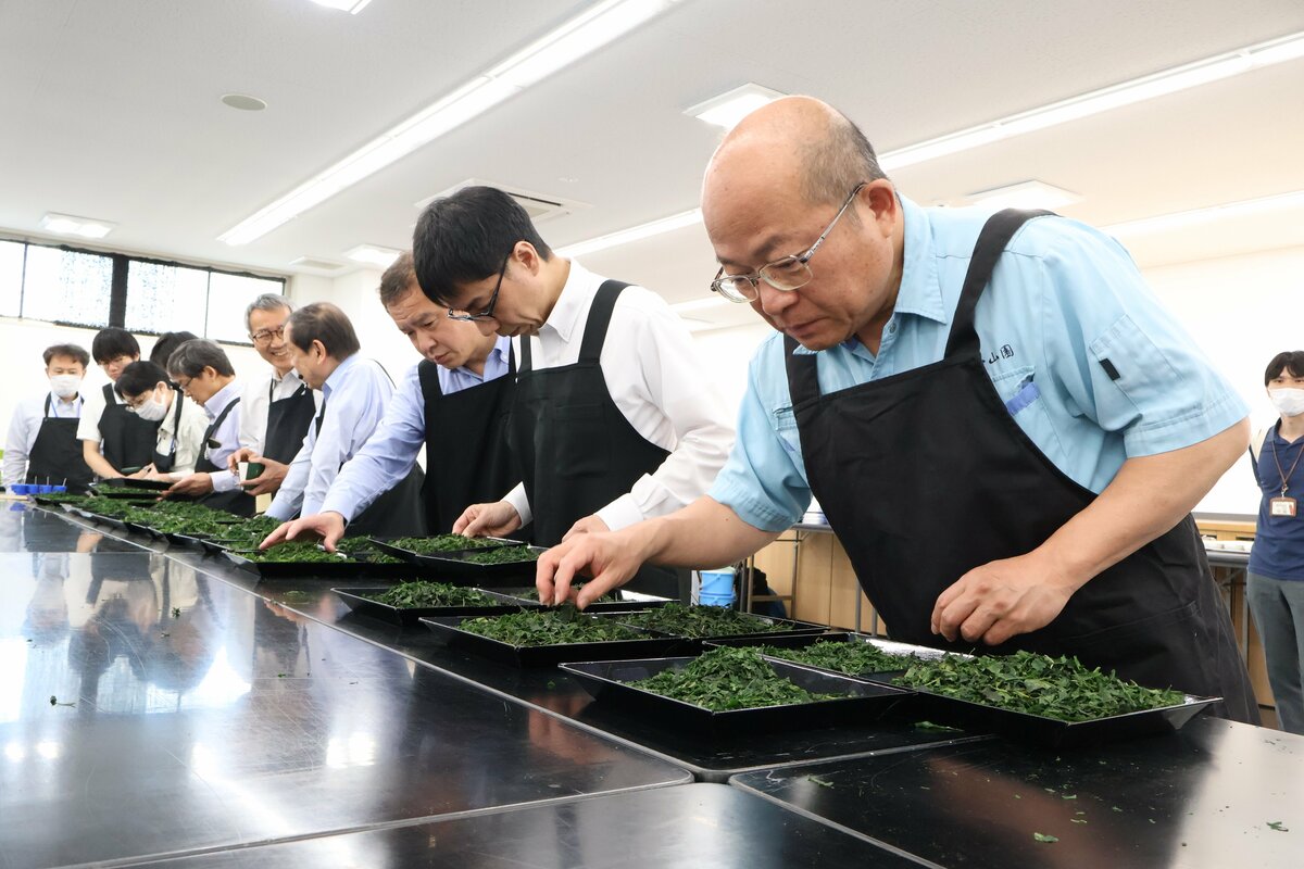 How is Uji City, Kyoto's tea quality? Tencha and Gyokuro competition where tea farmers compete on quality