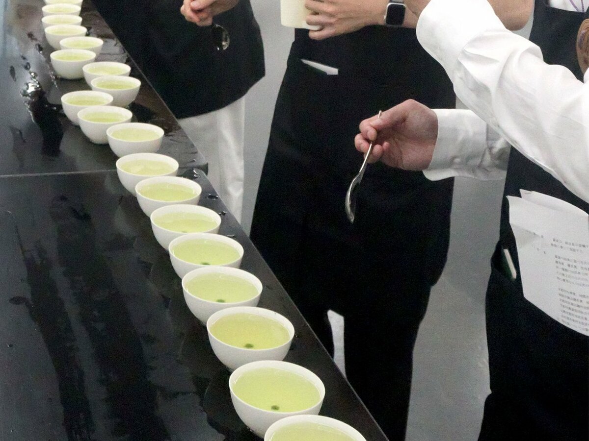 Tencha competition held in Joyo City, Kyoto — 'Generally excellent' as this spring's favorable conditions align