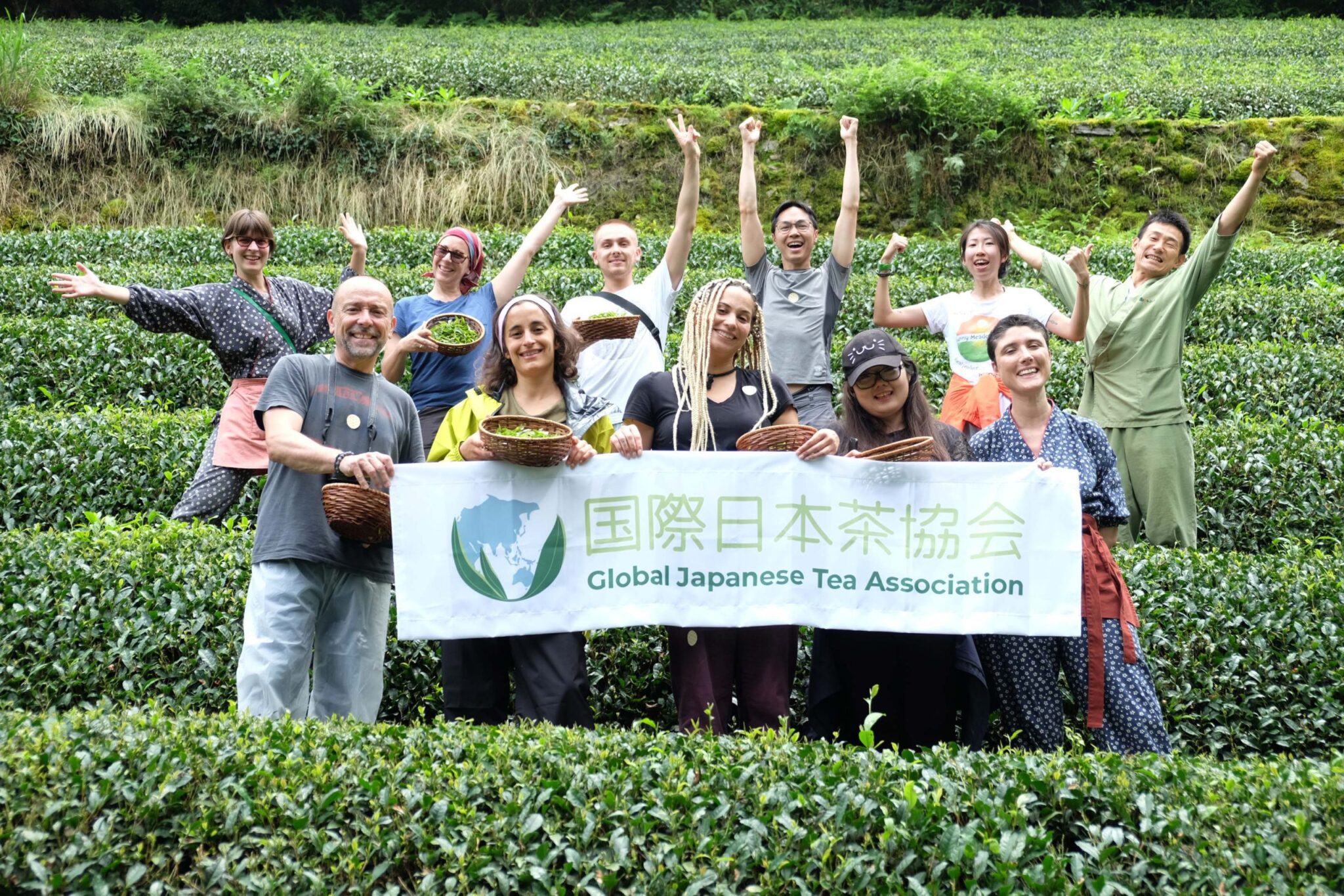 Global Japanese Tea Association: Membership Program