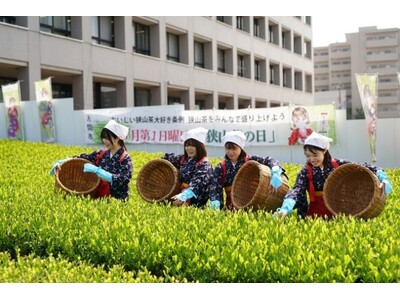 Iruma City Hosts Hachijūhasshiya New Tea Festival at Municipal Hall Teafield