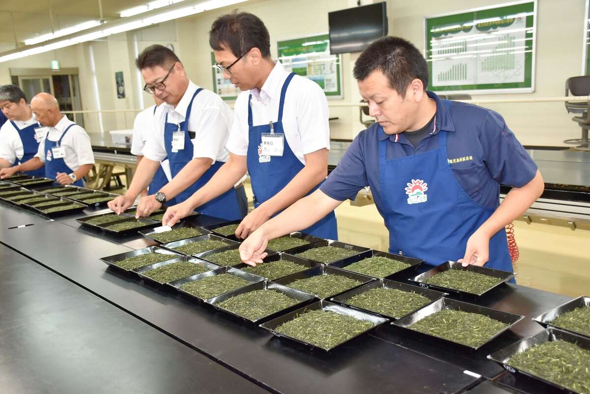 Yoshino Seicha wins top prize in ordinary sencha; Tahara takes deep-steamed category at 2026 Kagoshima Tea Competition