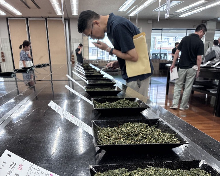 Shizuoka tea market holds auction; organic Haruno tea fetches highest price