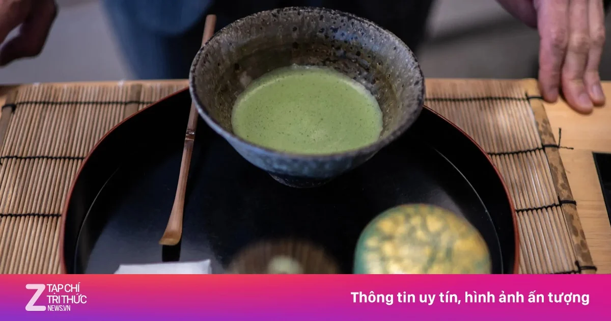 Japan faces supply squeeze as matcha boom goes global; China rapidly gains market share