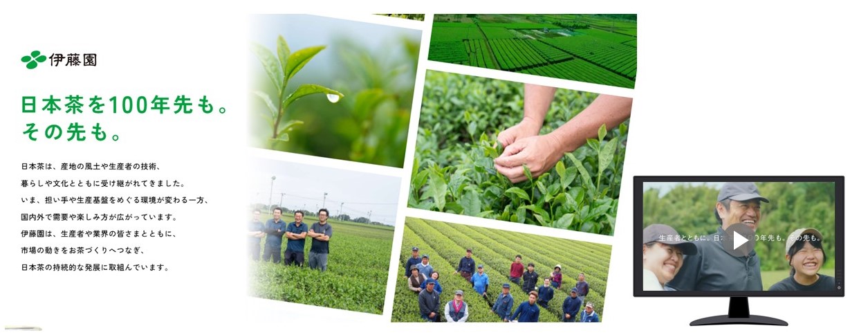 Itoen launches Japanese tea heritage site and video to communicate value and origins amid supply pressures