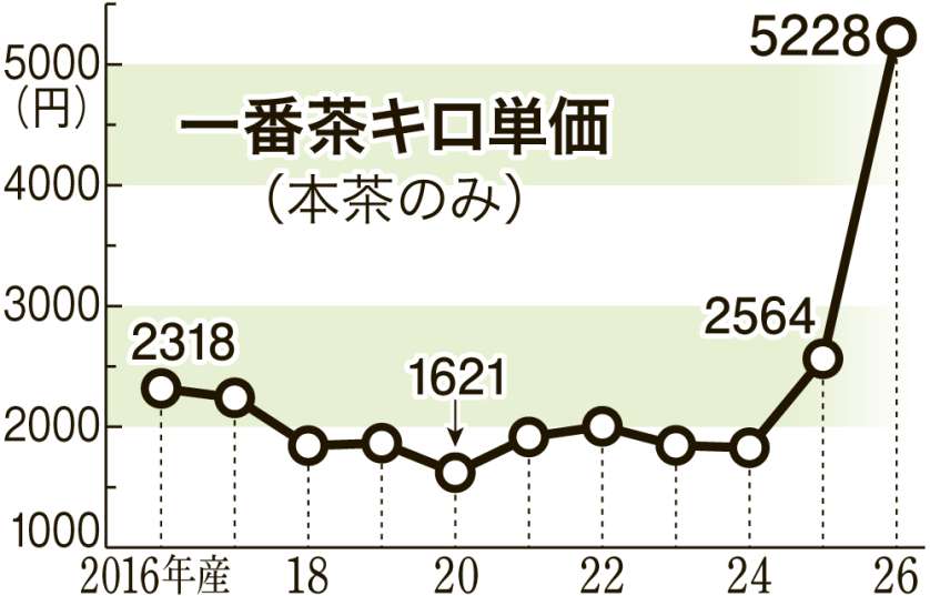 Kagoshima Prefecture first-flush tea prices surge, double last year as matcha boom provides tailwind