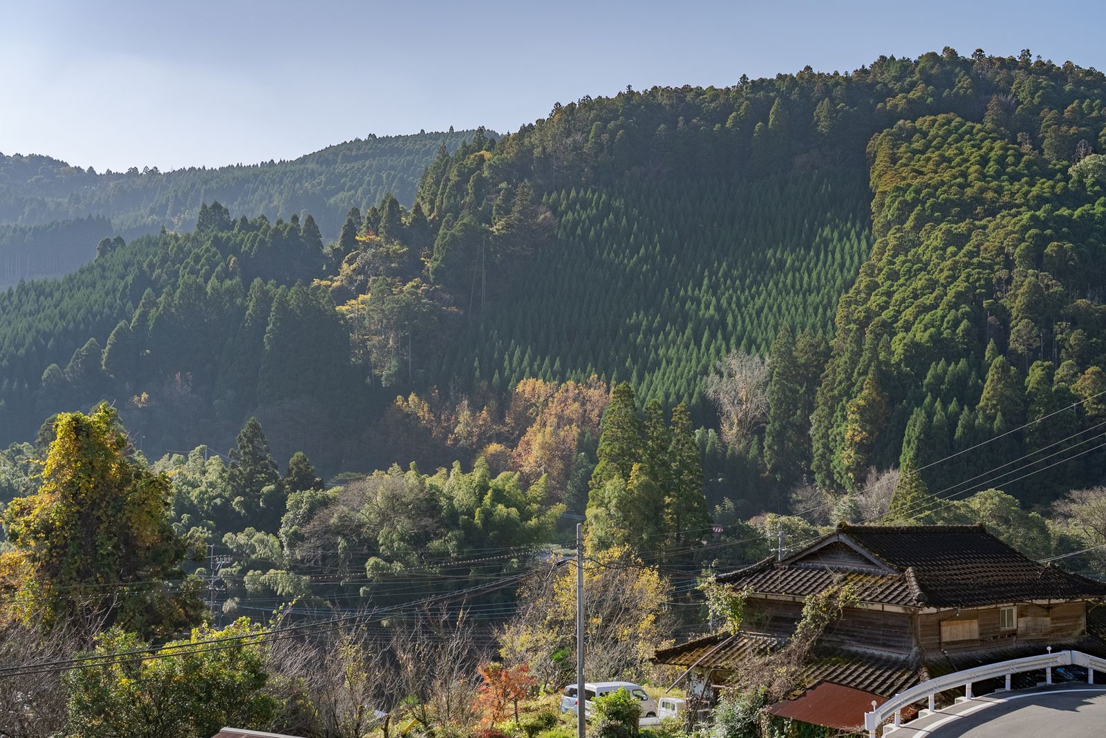 Golden-hour valley over a tea-growing village in Hoshino, Yame