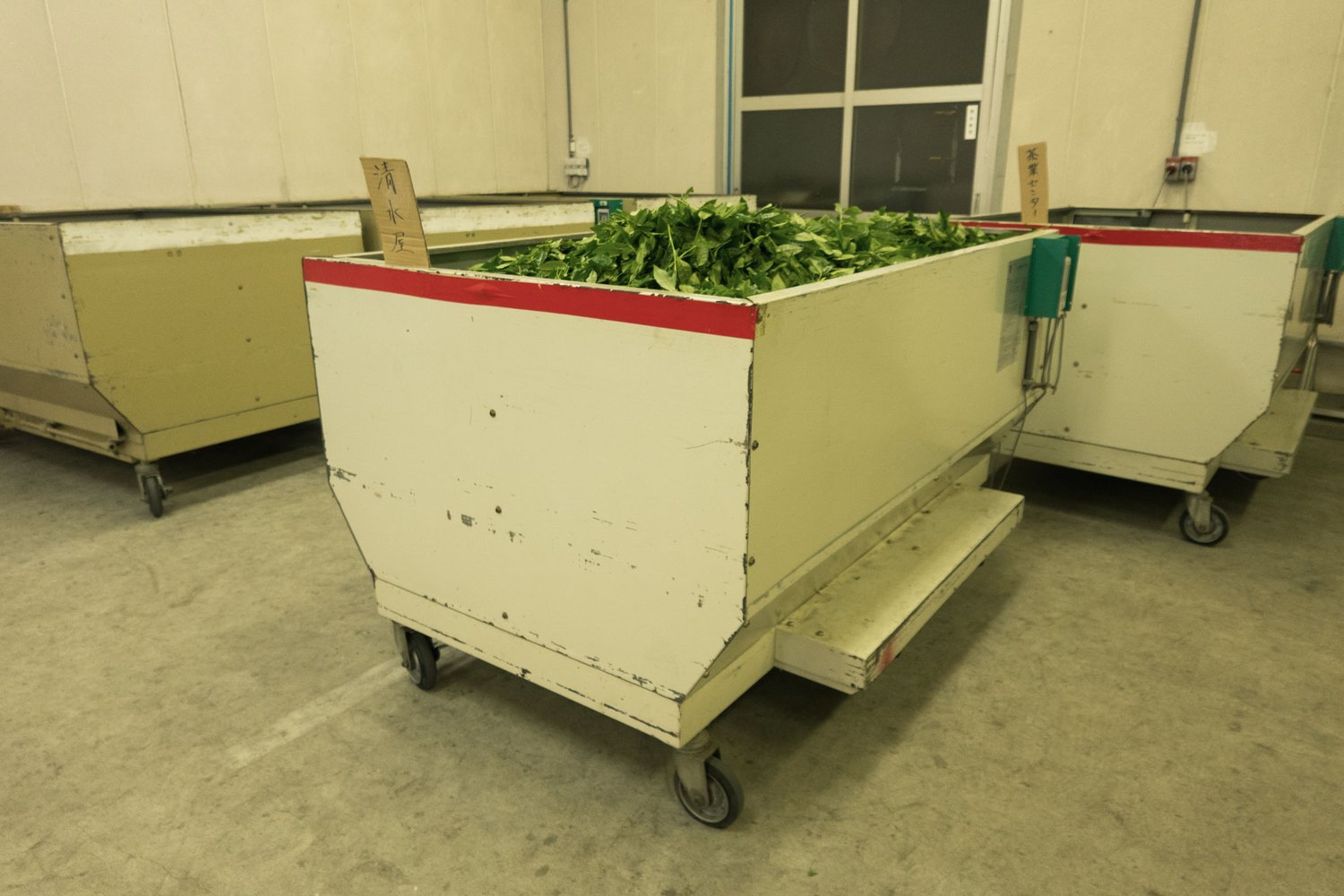 Wheeled carts of fresh tea leaf with handwritten signs on a factory floor